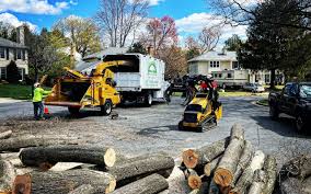 Best Hazardous Tree Removal  in Lake Lorelei, OH